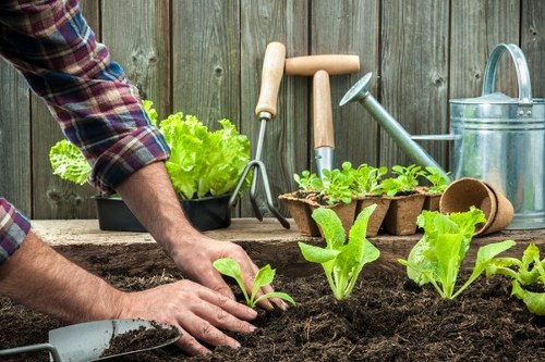 Essential cookies helping Landscaping Hornsey website function properly