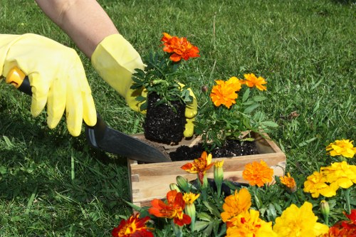 Local garden makeover services showing paving, planting, and low-maintenance ideas