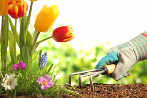 Audit of landscaping supplier records and working conditions