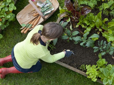 Local Hornsey soft landscaping team planning a garden planting layout