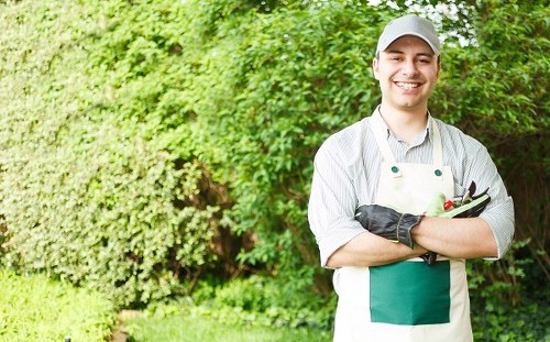 Professional landscaping complaints handling