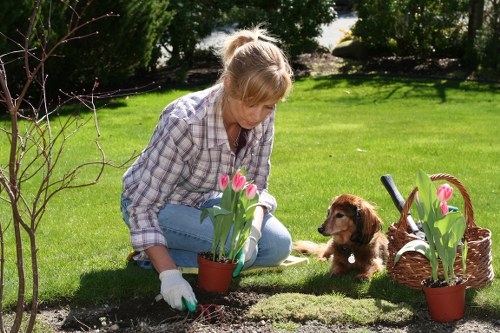 Landscaping issue assessment process