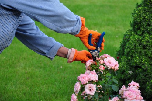 Team member wearing PPE while performing landscaping tasks